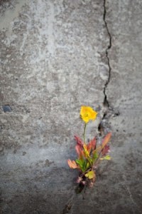 a584e9d40a3c04616620a3ba68cd5e4d