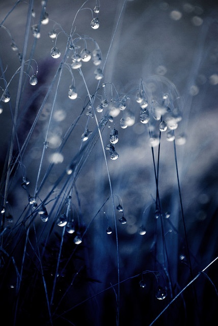 effbabc9c45f1018f7f88f17497f500c