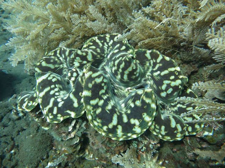 10710912_10152799671449430_6904212379497585911_n