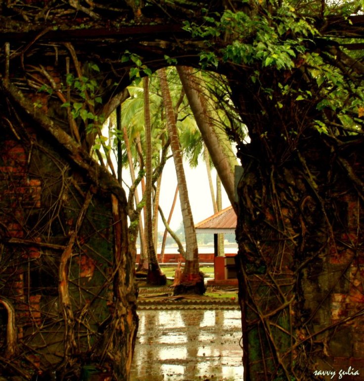 395976_215730138513967_1069118799_n